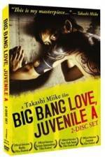 Watch Big Bang Love Juvenile A 5movies