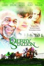 Watch The Derby Stallion 5movies