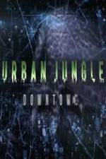 Watch National Geographic Wild Urban Jungle Downtown 5movies