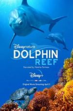 Watch Dolphin Reef 5movies