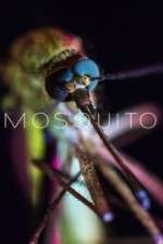 Watch Mosquito 5movies