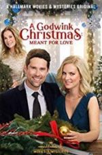 Watch A Godwink Christmas: Meant for Love 5movies