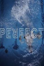 Watch Perfect 5movies