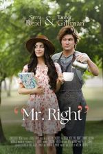 Watch Mr. Right 5movies