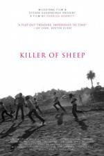 Watch Killer of Sheep 5movies