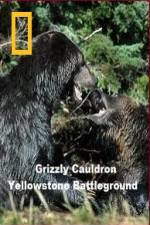 Watch National Geographic Grizzly Cauldron 5movies