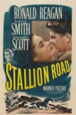 Watch Stallion Road 5movies