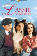 Watch Lassie Come Home 5movies