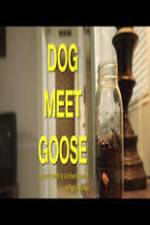 Watch Dog Meet Goose 5movies