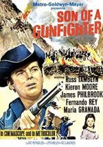 Watch Son of a Gunfighter 5movies