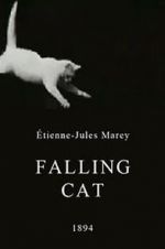 Watch Falling Cat 5movies