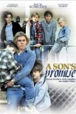 Watch A Son's Promise 5movies