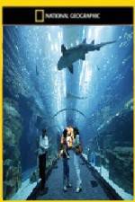 Watch National Geographic Megastructures Dubai Mega Mall 5movies