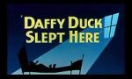 Watch Daffy Duck Slept Here (Short 1948) 5movies
