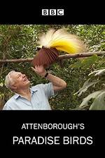 Watch Attenborough's Paradise Birds 5movies