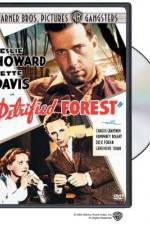 Watch The Petrified Forest 5movies