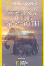 Watch Waking the Baby Mammoth 5movies