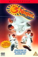 Watch 3 Ninjas Knuckle Up 5movies