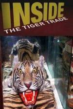 Watch Inside: The Tiger Trade 5movies