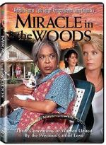 Watch Miracle in the Woods 5movies