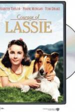Watch Courage of Lassie 5movies
