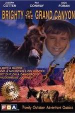 Watch Brighty of the Grand Canyon 5movies