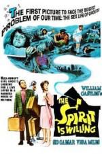 Watch The Spirit Is Willing 5movies