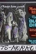 Watch The Blue Bird 5movies