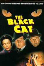 Watch The Black Cat 5movies