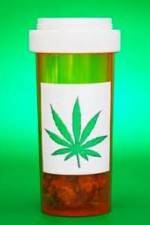 Watch Medicinal Cannabis and its Impact on Human Health 5movies