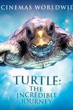 Watch Turtle The Incredible Journey 5movies