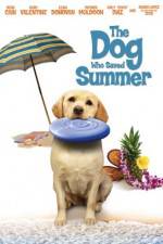 Watch The Dog Who Saved Summer 5movies