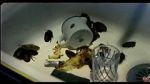 Watch Coup de lune (TV Short 2000) 5movies