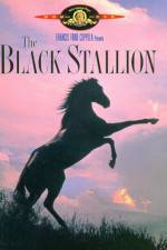 Watch The Black Stallion 5movies