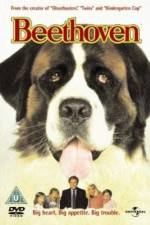 Watch Beethoven 5movies