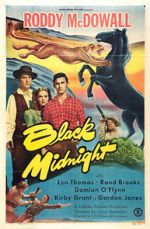 Watch Black Midnight 5movies
