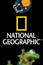 Watch National Geographic Wild Dam Beavers 5movies