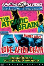 Watch Love After Death 5movies