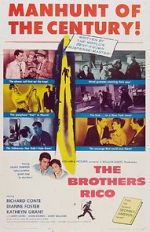 Watch The Brothers Rico 5movies