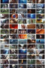 Watch The Tree of Life 5movies