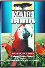 Watch PBS Nature - Extraordinary Birds 5movies