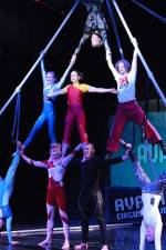 Watch Circus School 5movies