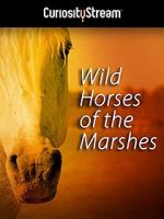 Watch Wild Horses of the Marshes 5movies