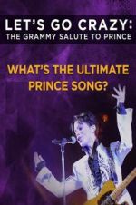 Watch Let\'s Go Crazy: The Grammy Salute to Prince 5movies