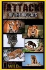 Watch National Geographic Attack Of The Big Cats 5movies