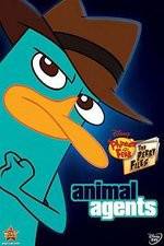Watch Phineas And Ferb Animal Agents 5movies