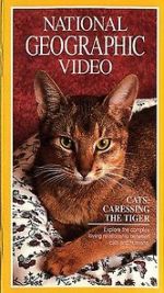 Watch Cats: Caressing the Tiger 5movies
