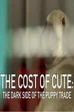 Watch The Cost of Cute: The Dark Side of the Puppy Trade 5movies