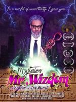 Watch The Mysterious Mr. Wizdom 5movies