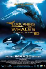 Watch Dolphins and Whales 3D Tribes of the Ocean 5movies